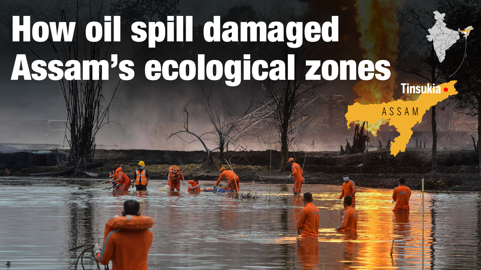How oil spill damaged Assam’s ecological zones Times of India