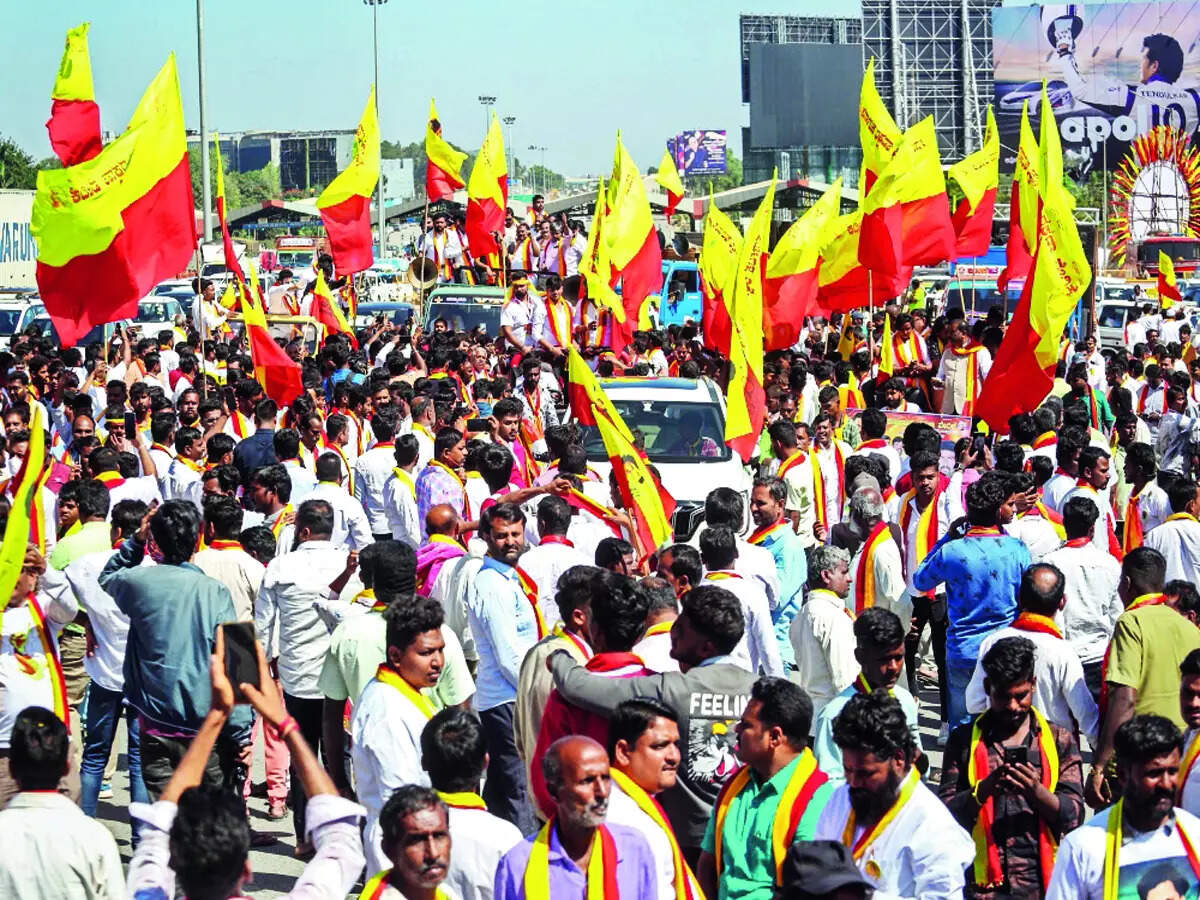 Kannada signboard dispute Bommanahalli tops with highest notices