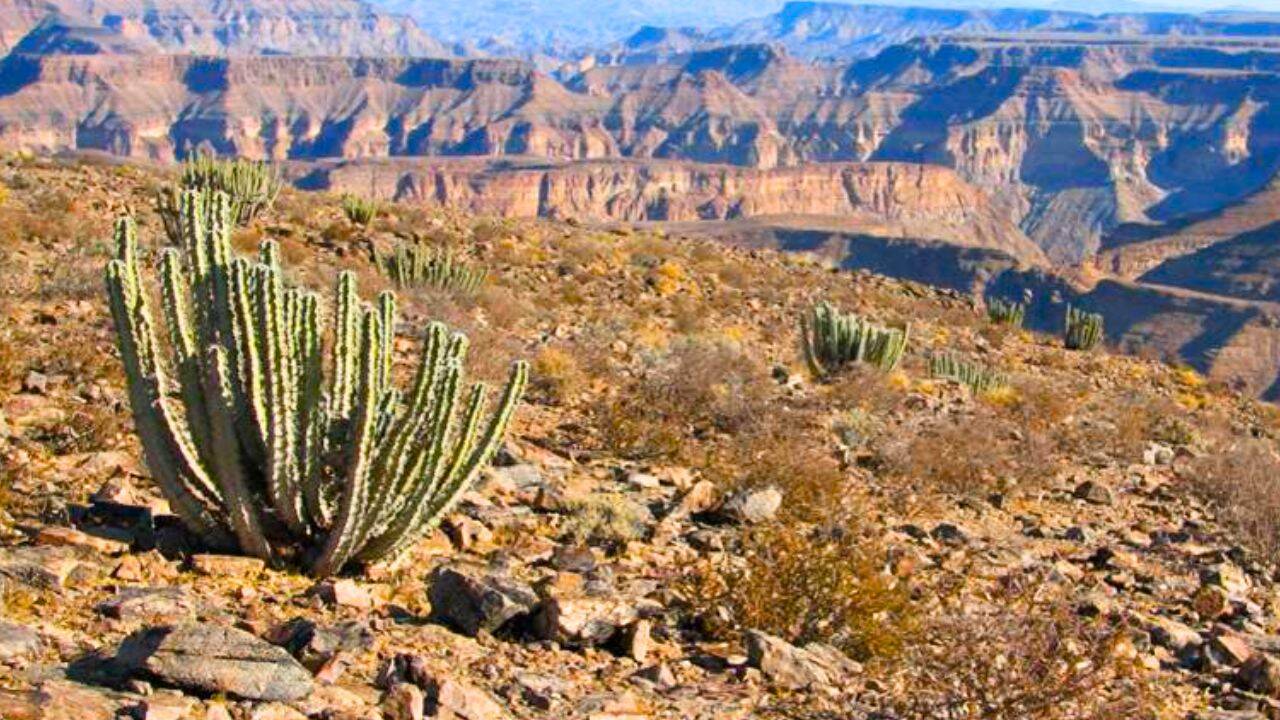 How will Namibia’s new conservation deal support more than 20 million hectares<br>