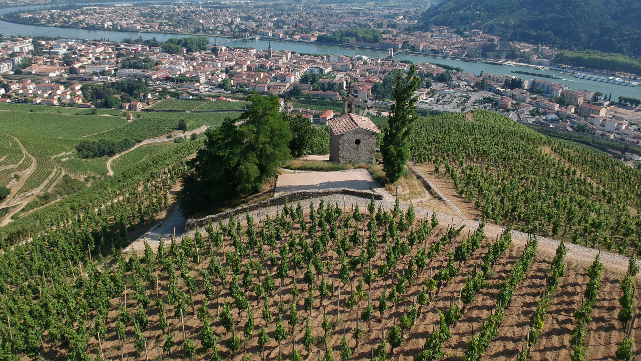 Auvergne Wine