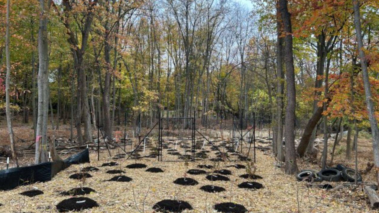 What steps did EPA take to clean up the Unimatic site<br>