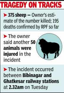 Shepherd’s family claims Rs 40 lakh loss