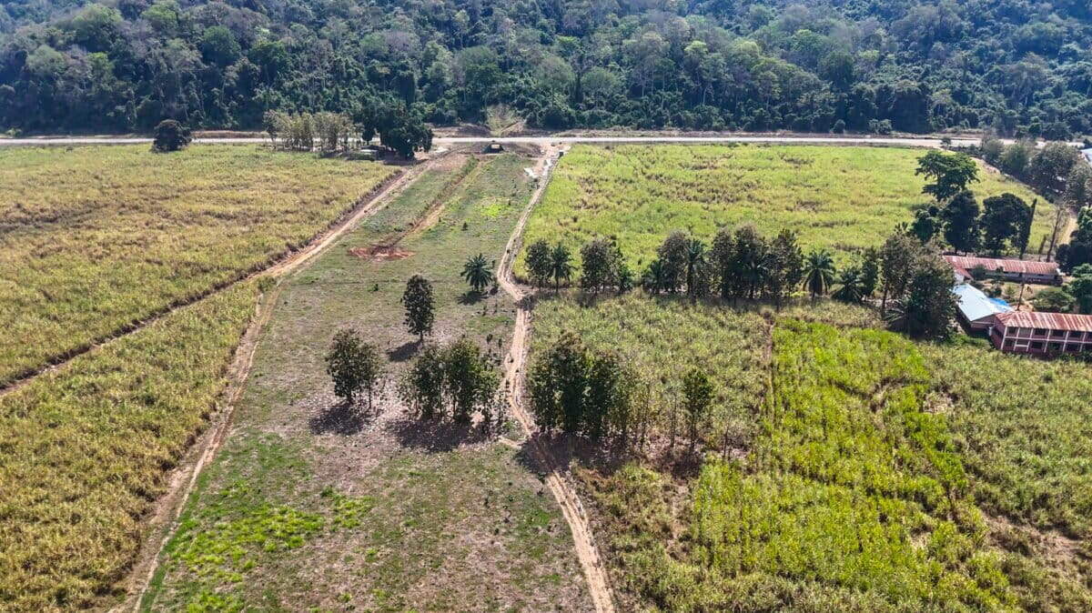 A protected wildlife corridor allows elephants to move between Tanzania’s Udzungwa Mountains and Nyerere National Park.