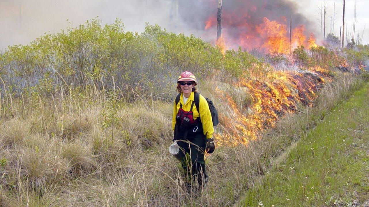 The fire left the hidden plant reservoir largely intact