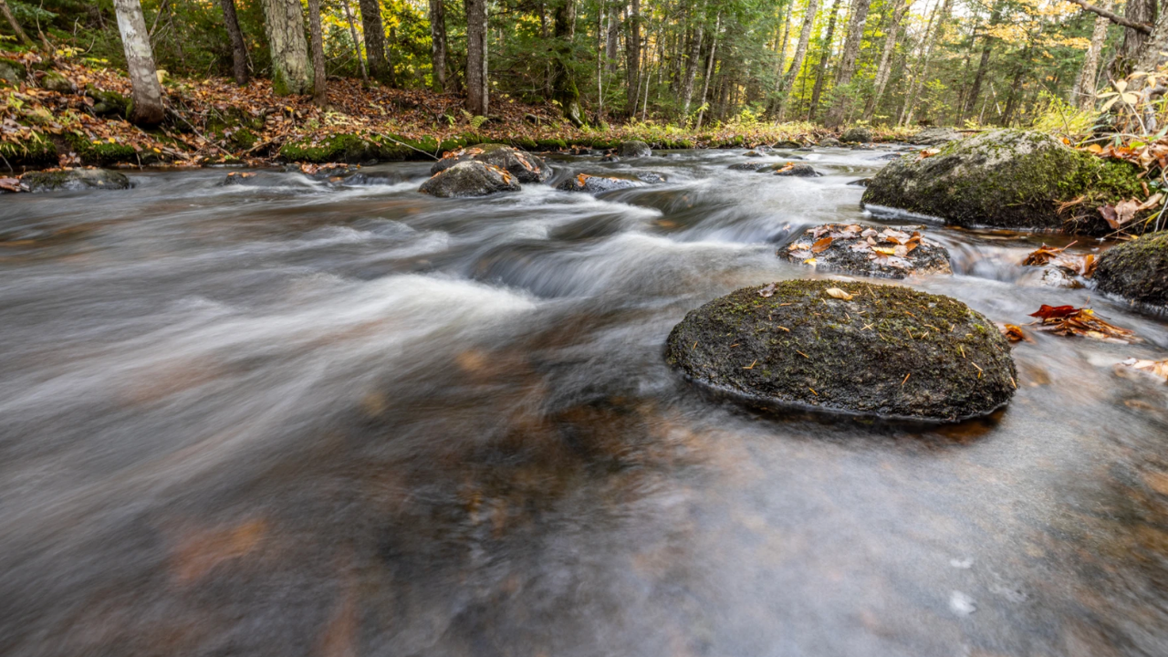 The 11,297-acre transfer is part of the Wáhsehtəkʷ land-return effort, named for the East Branch of the Penobscot River<br>