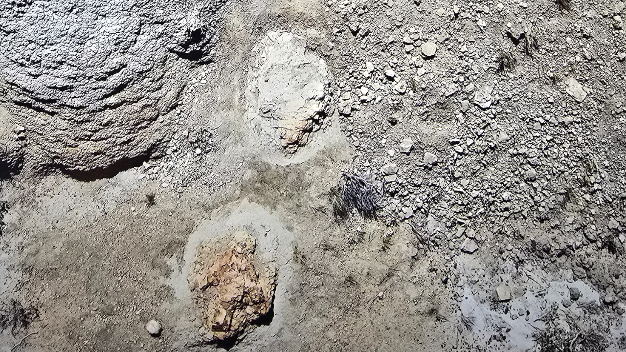 Four footprints reveal a prehistoric walking trail<br>