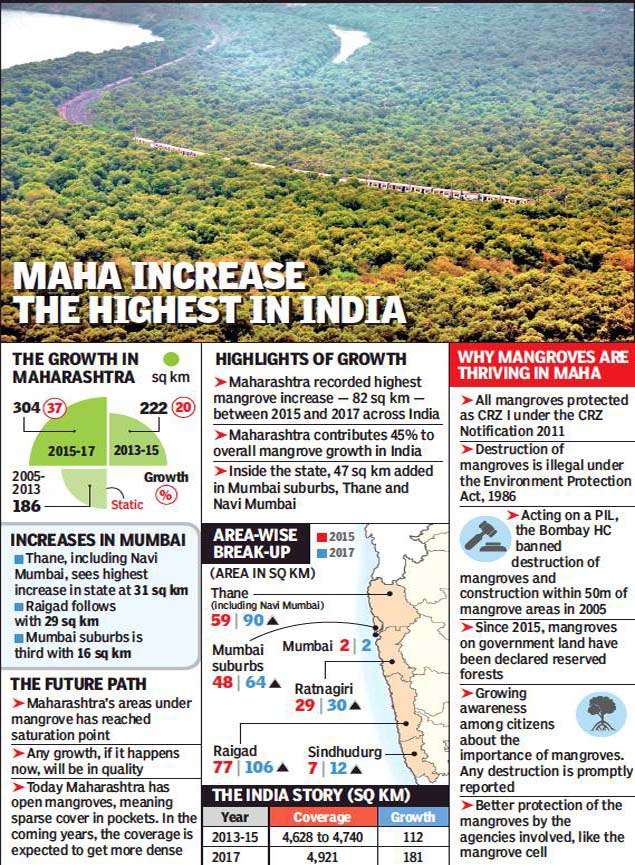 thane & navi mumbai: Maharashtra mangrove cover up 37% in national ...