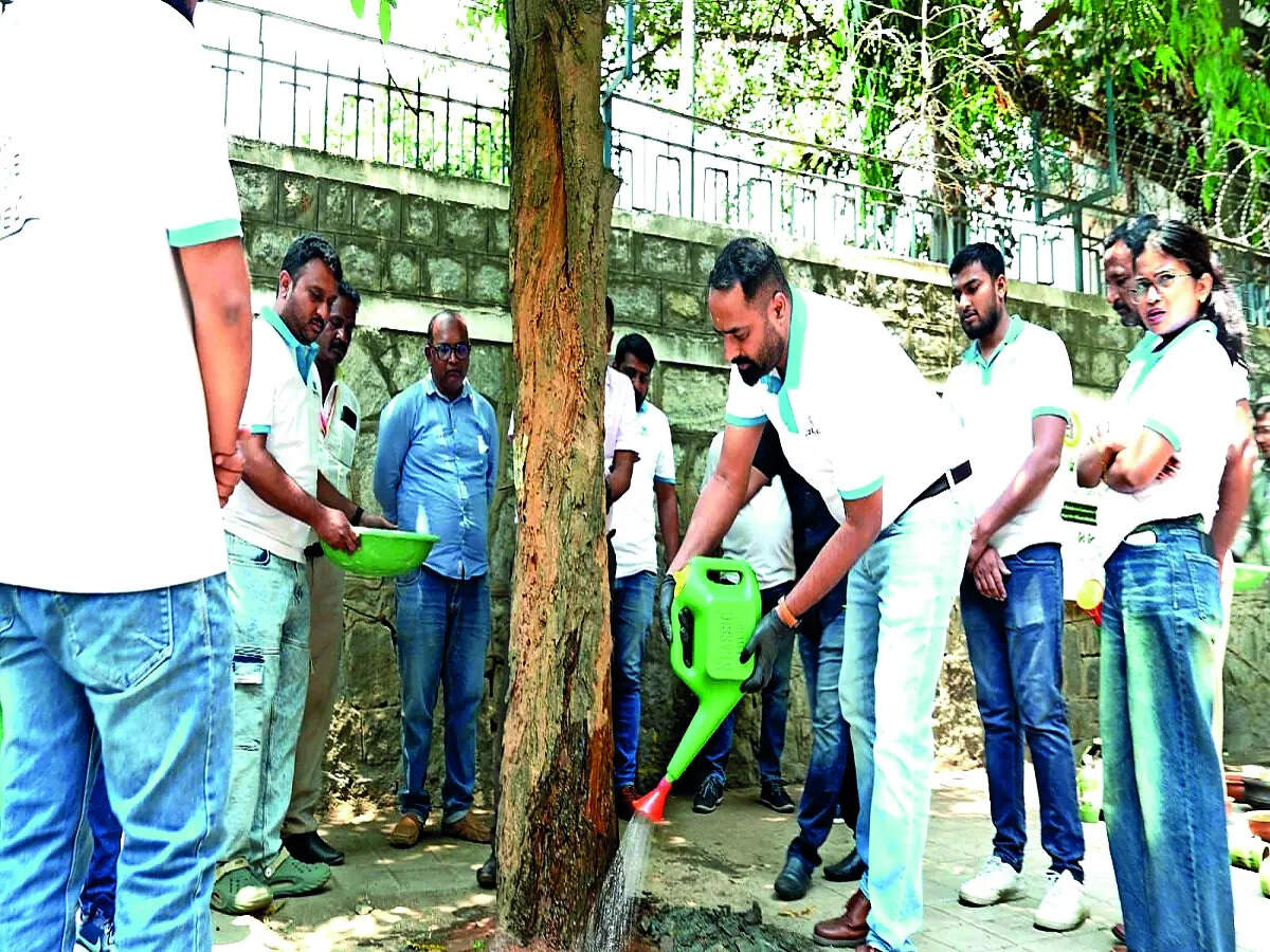 Green guardians rise to rescue street trees