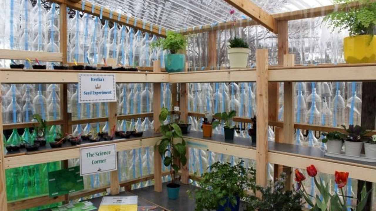 A sustainable greenhouse made from plastic bottles