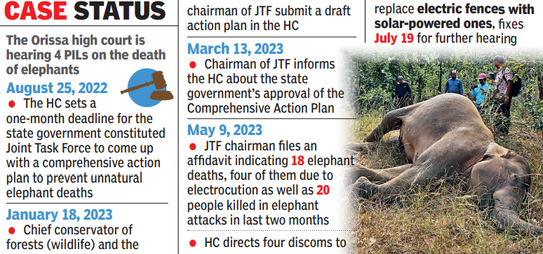 ‘Use solar fences to curb jumbo deaths’