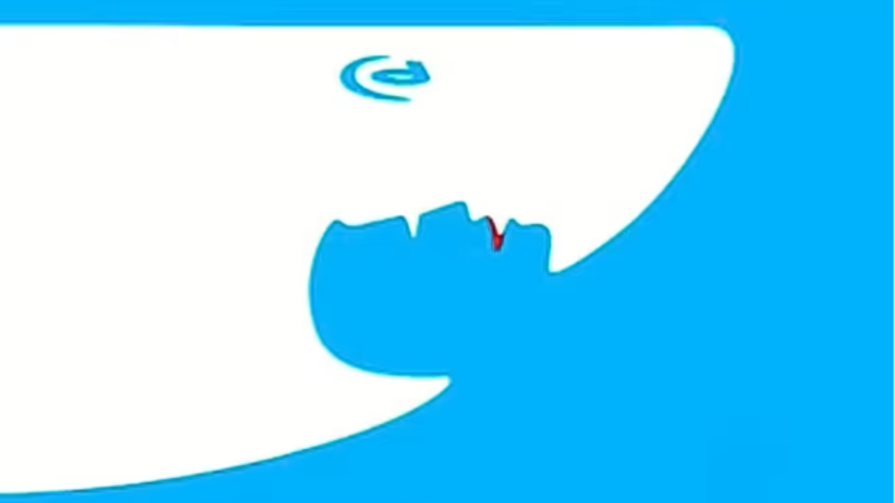 man or shark