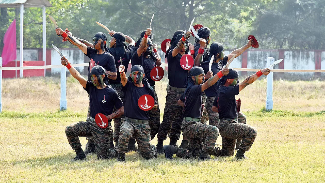 Soldiers of the Indian army displaying martial arts skills