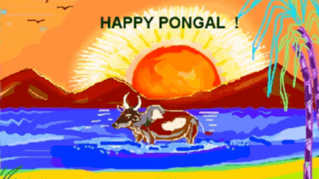 Happy Pongal GIFs, Pongal GIFs