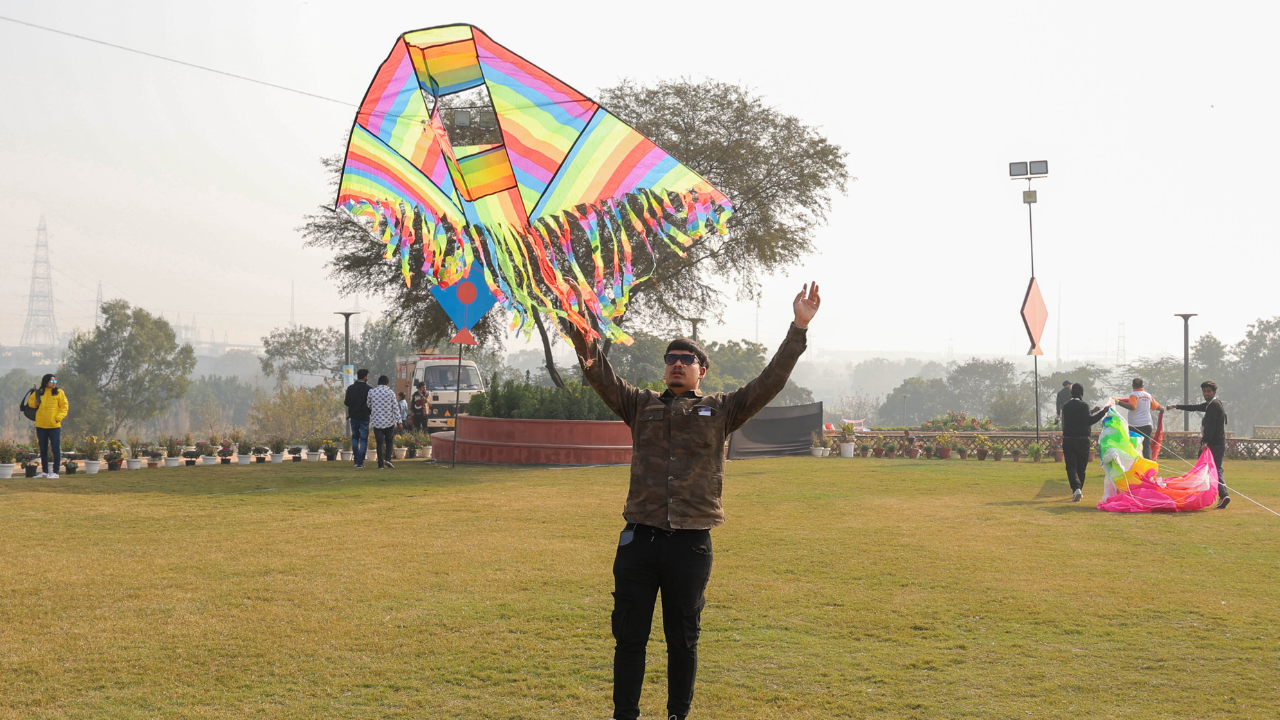 Kites added hues to Delhi sky