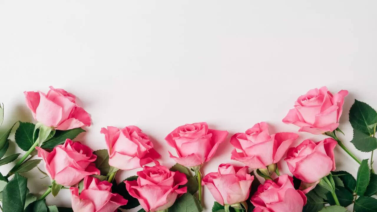 Happy Rose Day Messages, Rose Day Messages
