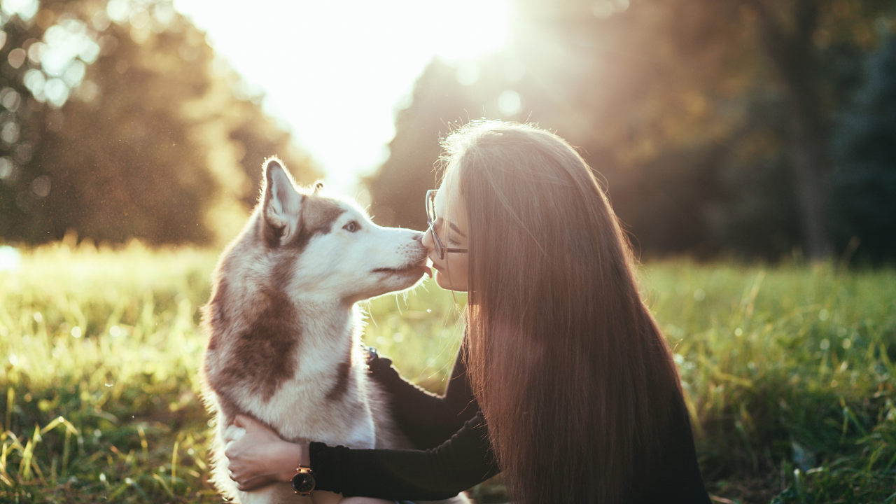 Happy Kiss Day Quotes, Kiss Day 2024