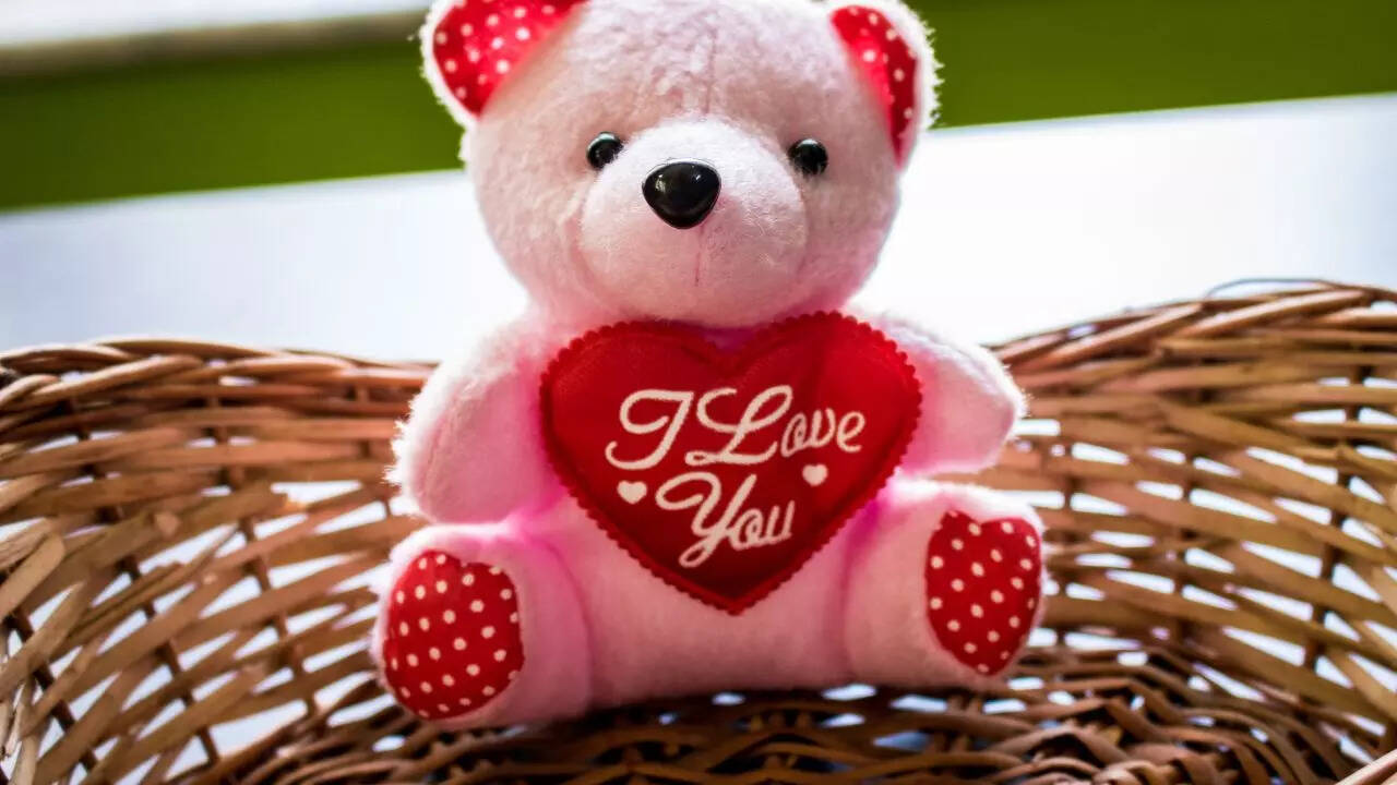 Teddy Day, 2024 Teddy Day