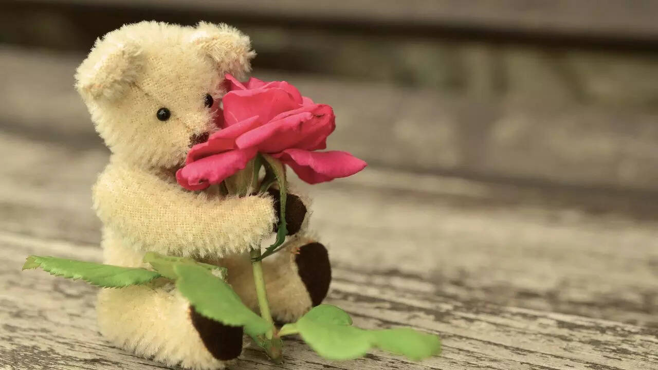 Teddy Day Images, Teddy Day Pictures