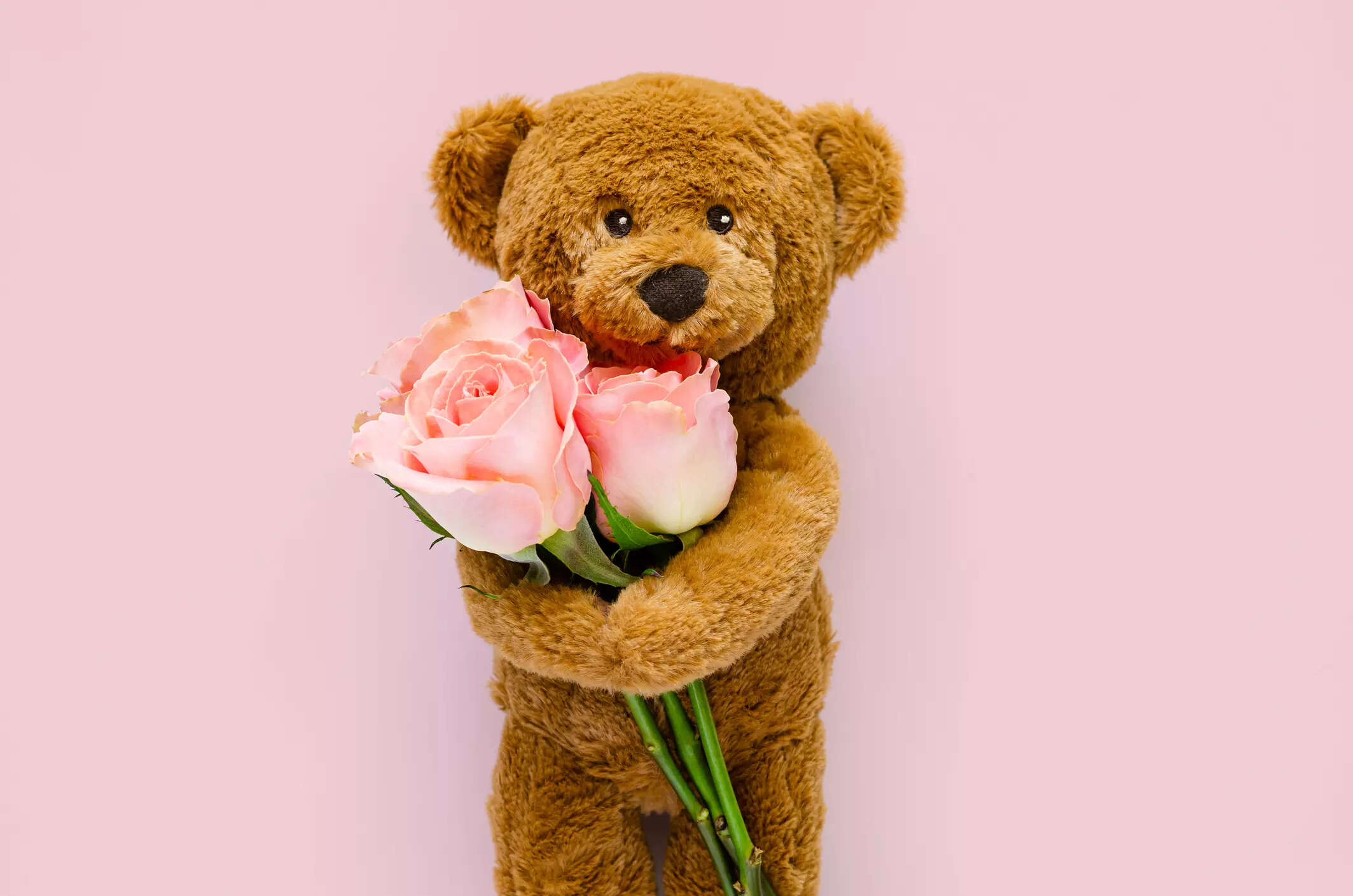 Happy Teddy Day Quotes, Teddy Day Quotes