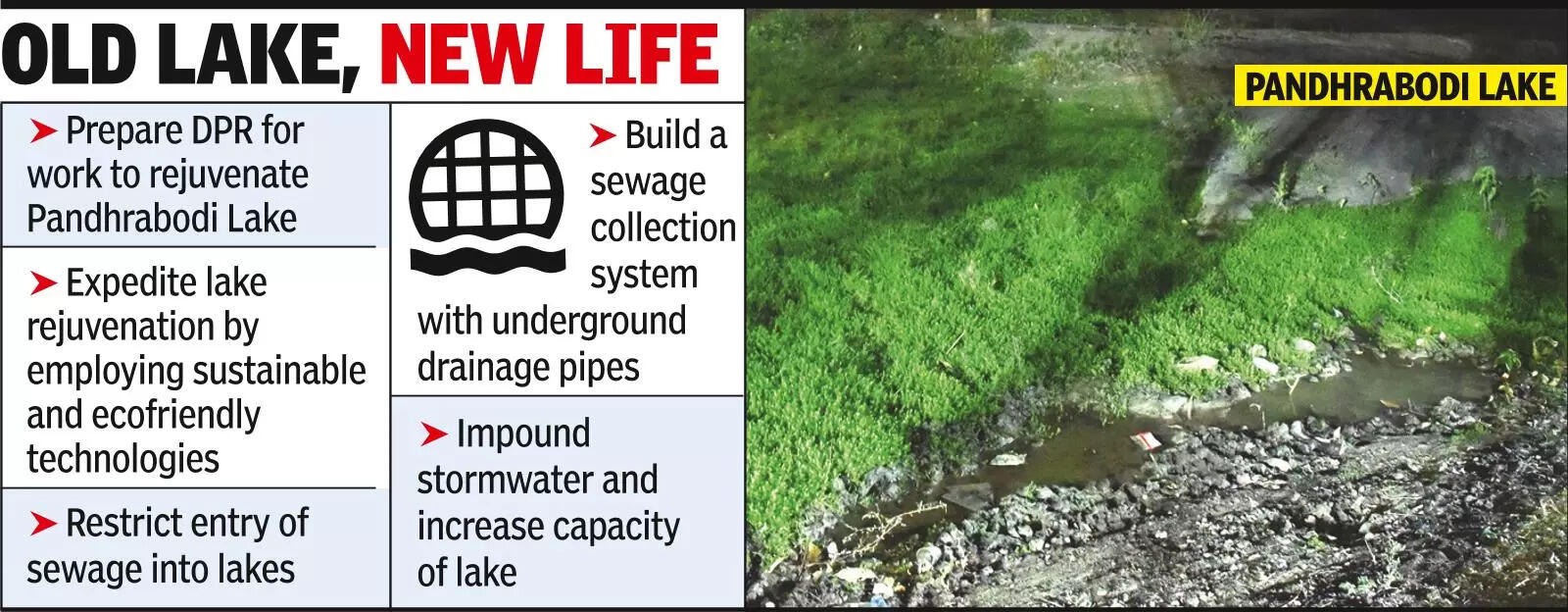 Green crusader’s push: Feasibility report for expediting Pandhrabodi Lake rejuvenation