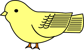 PNG image | bird