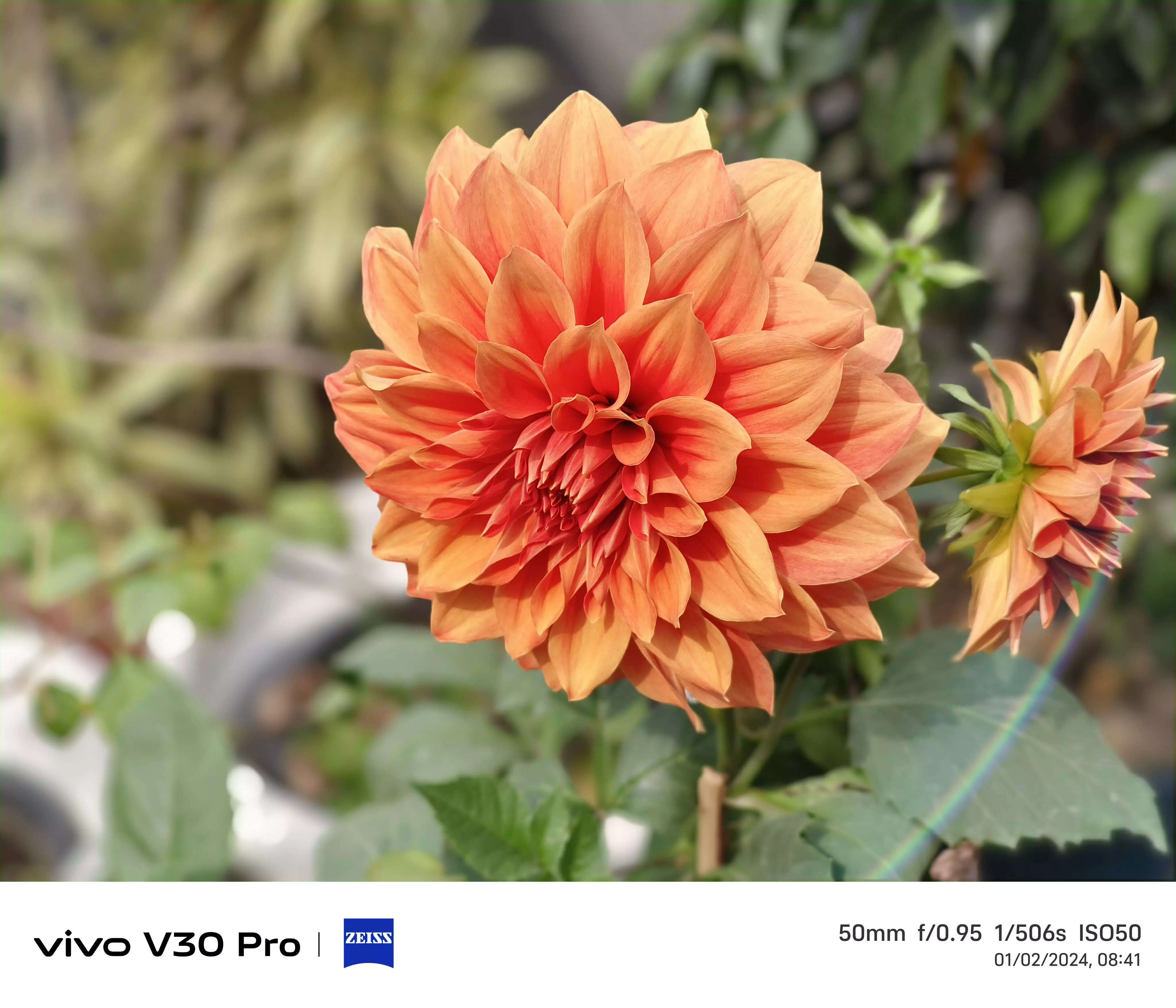 V30 Pro10.