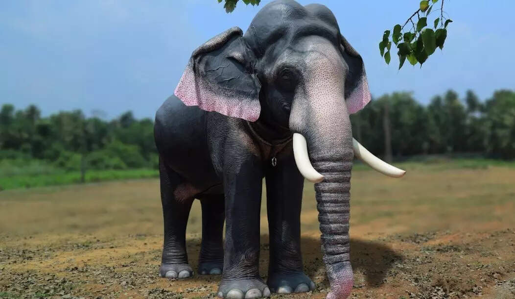 A picture of the mechanical elephant