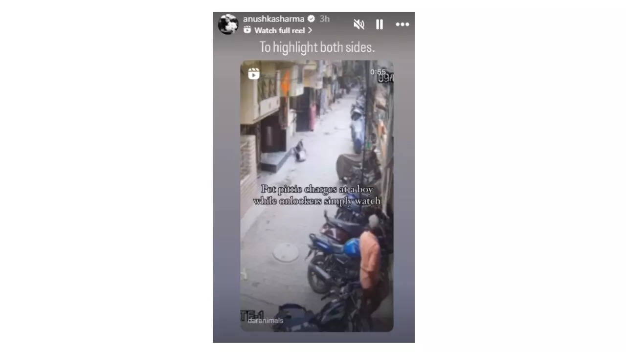 dddhdhsbDd (72)