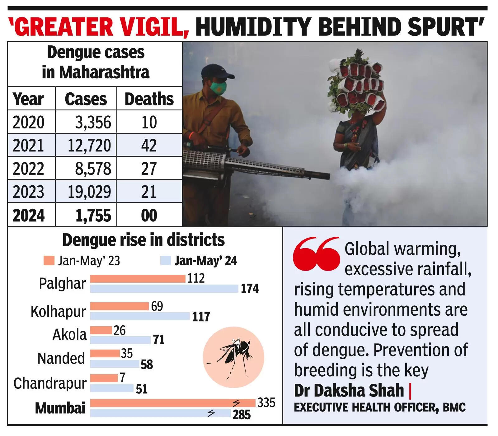 Maha sees 40% jump in cases of pre-monsoon dengue this yr
