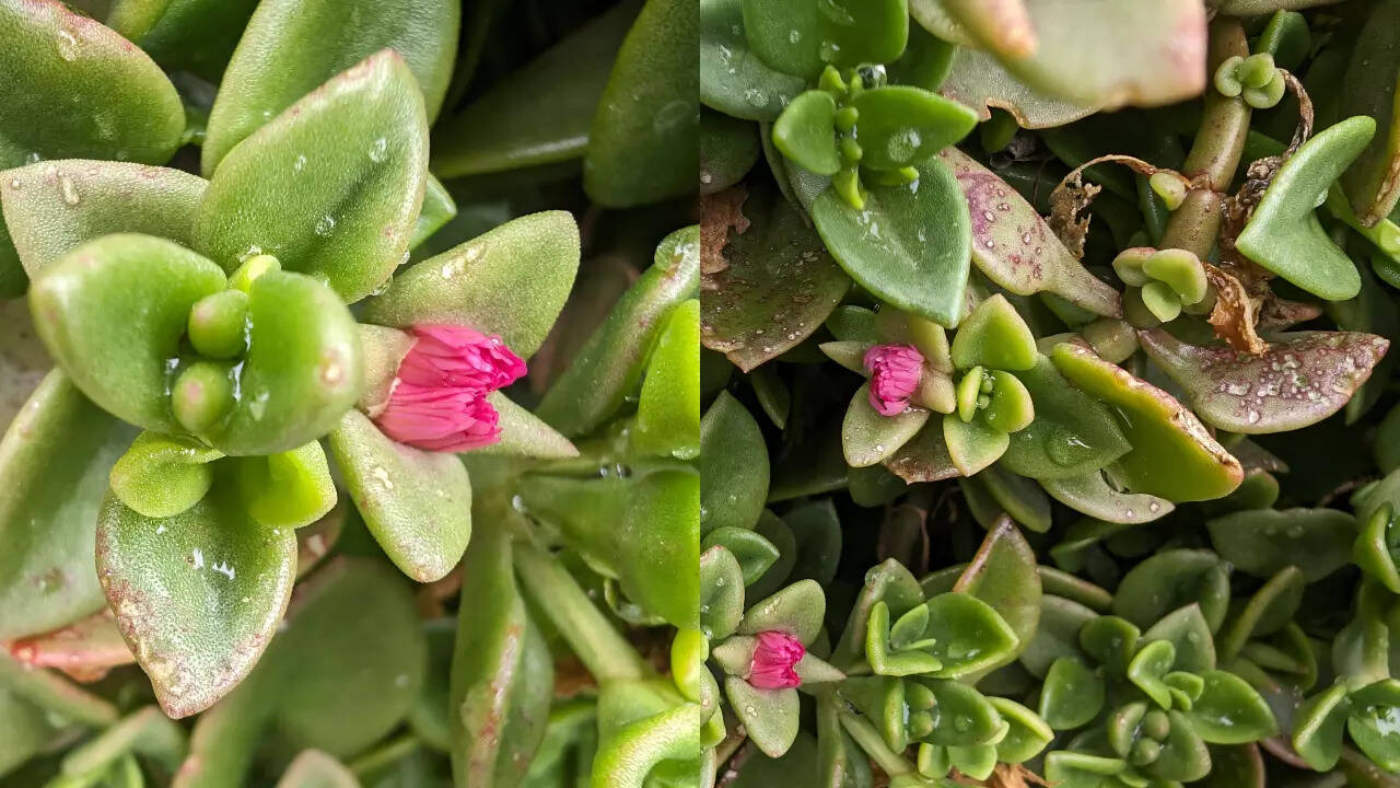 Oppo_find_x7_ultra_6