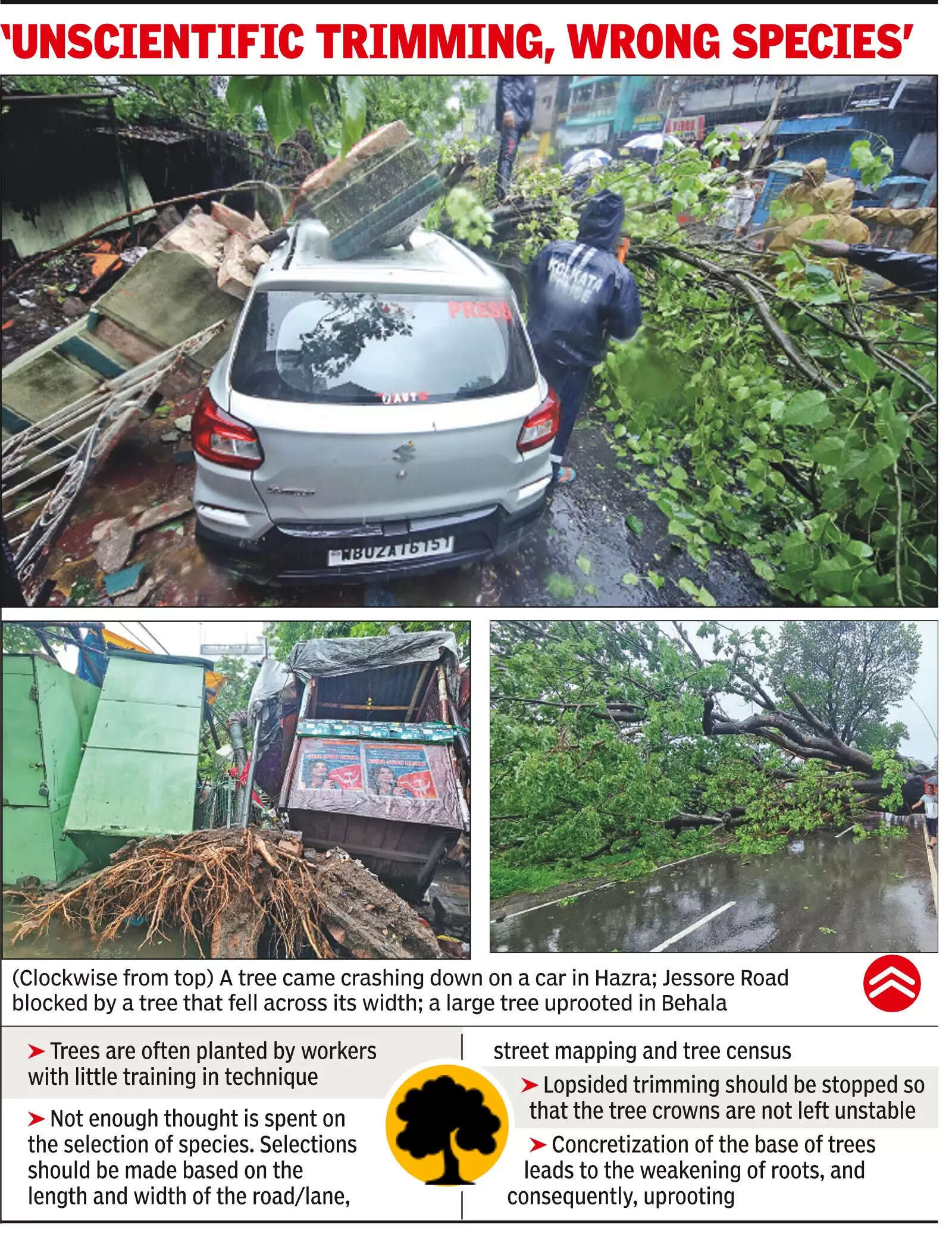 Over 375 trees lost as Remal rips through Kol green cover