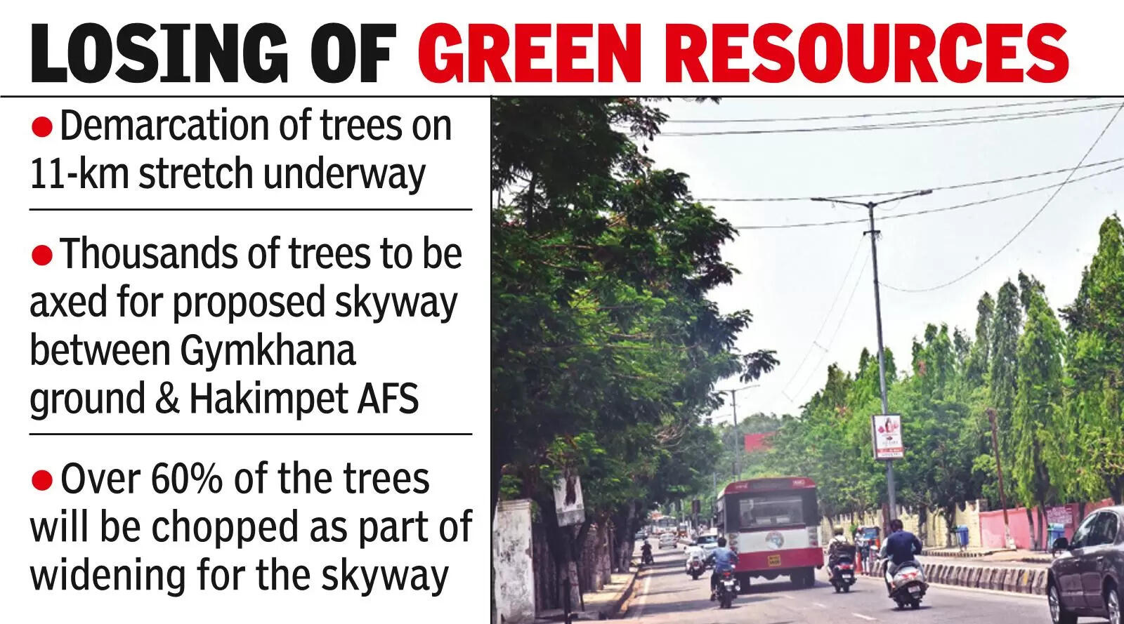 Thousands of trees may be axed for skyway