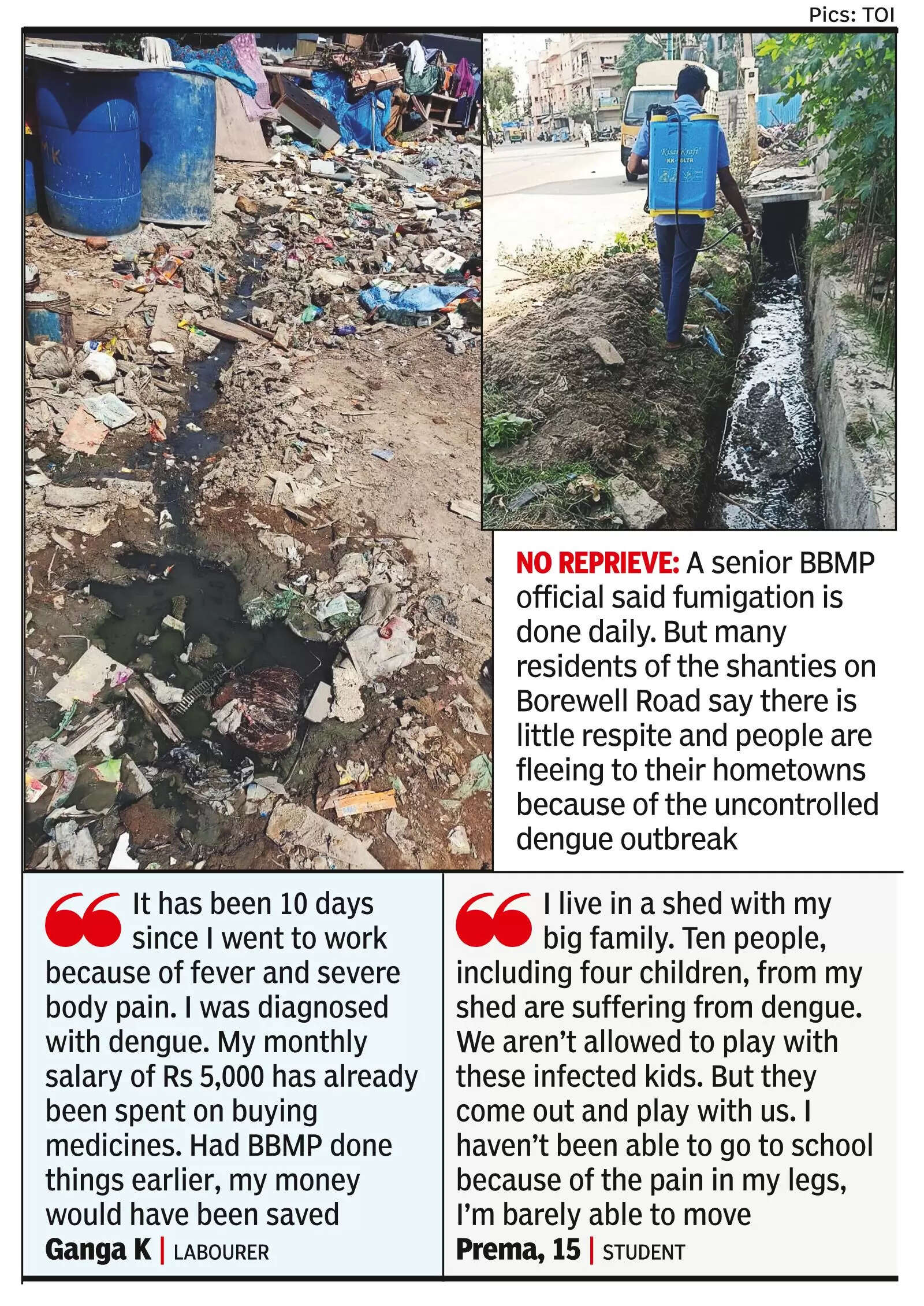 Dengue scare grips areas off Whitefield