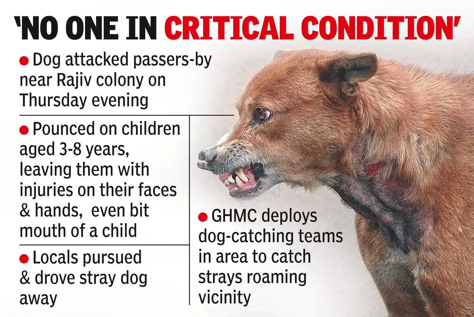 Stray Dog Attack Leaves 6 Kids Injured in Hyderabad | Hyderabad News ...