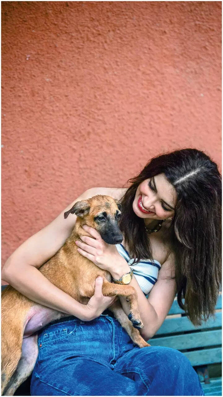 Diana Penty spend time with a stray dog
