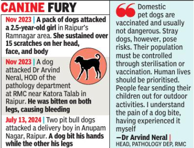 8 kids among 12 injured in rabid dog attack