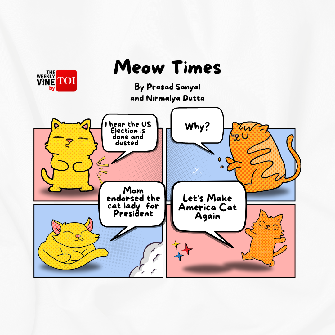 Meow Times