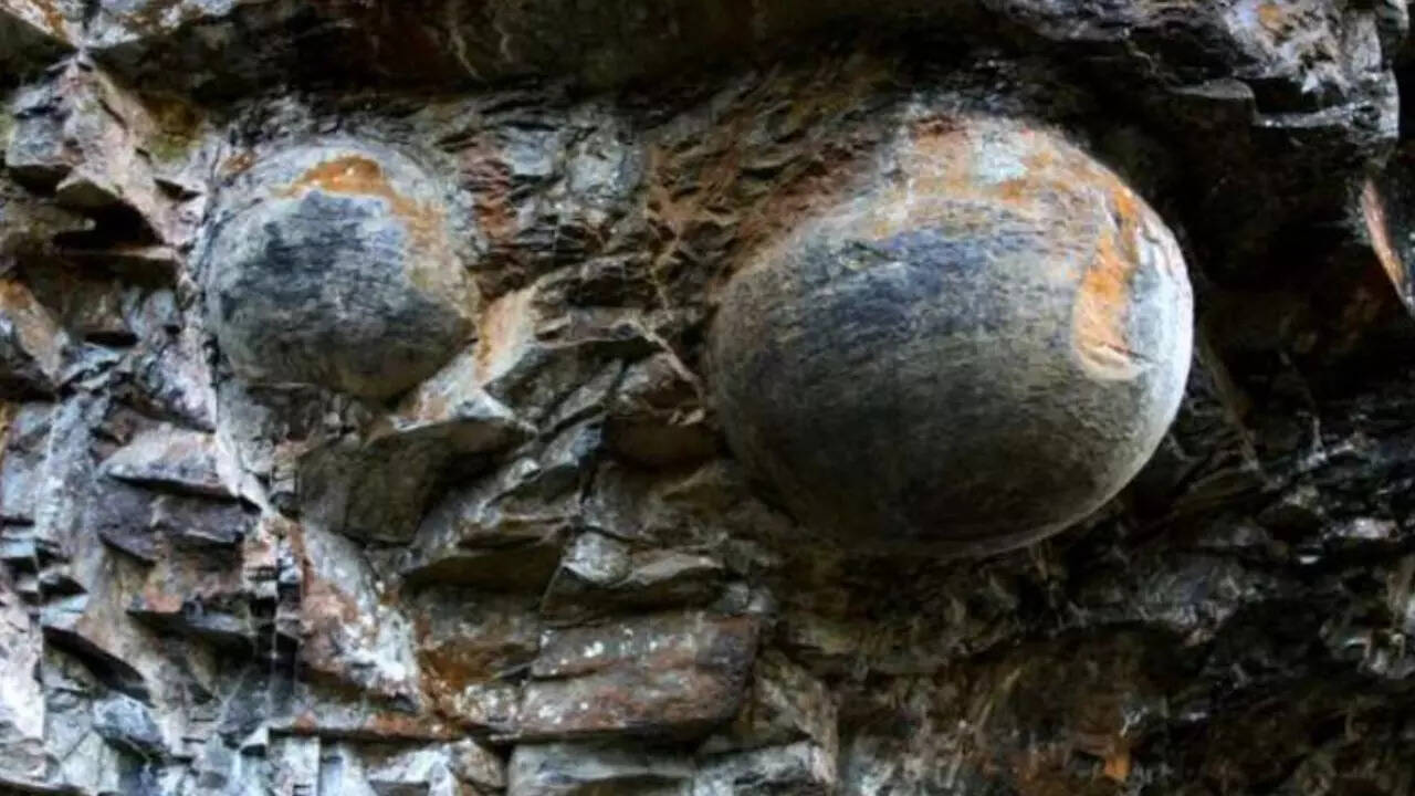 Stone eggs drop in every 30 years of their visibilty