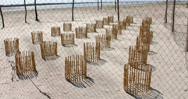 Individual nests within the fence at teh riverside hatchery