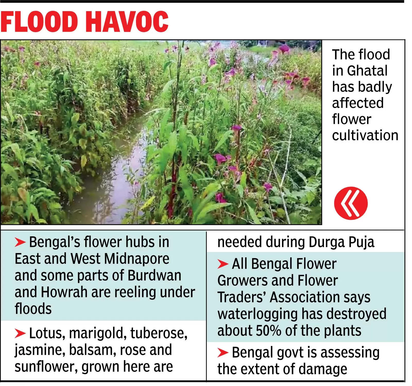 Flower belt under water, worry over puja supply