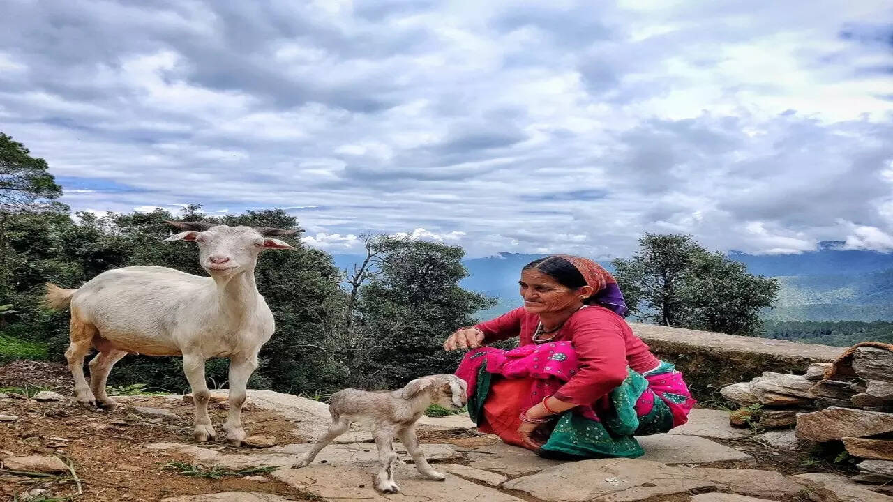 Rural 1