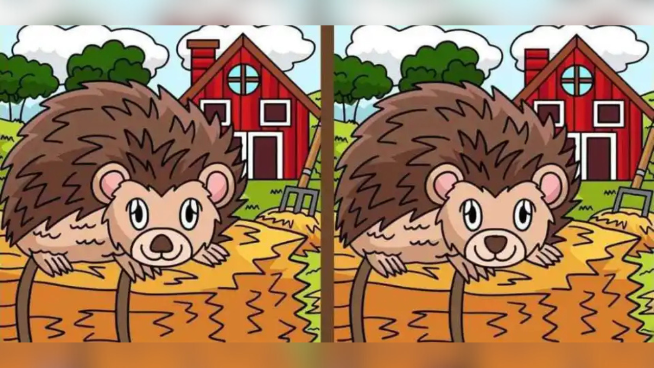Optical illusions (7)
