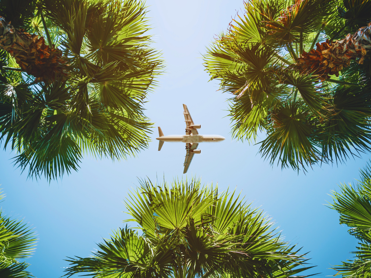 flight