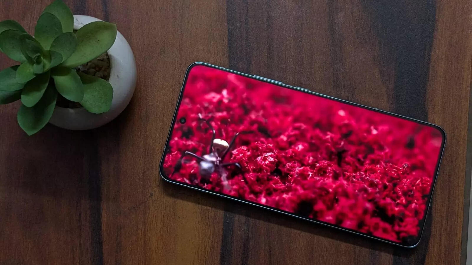 Colours pop in the display