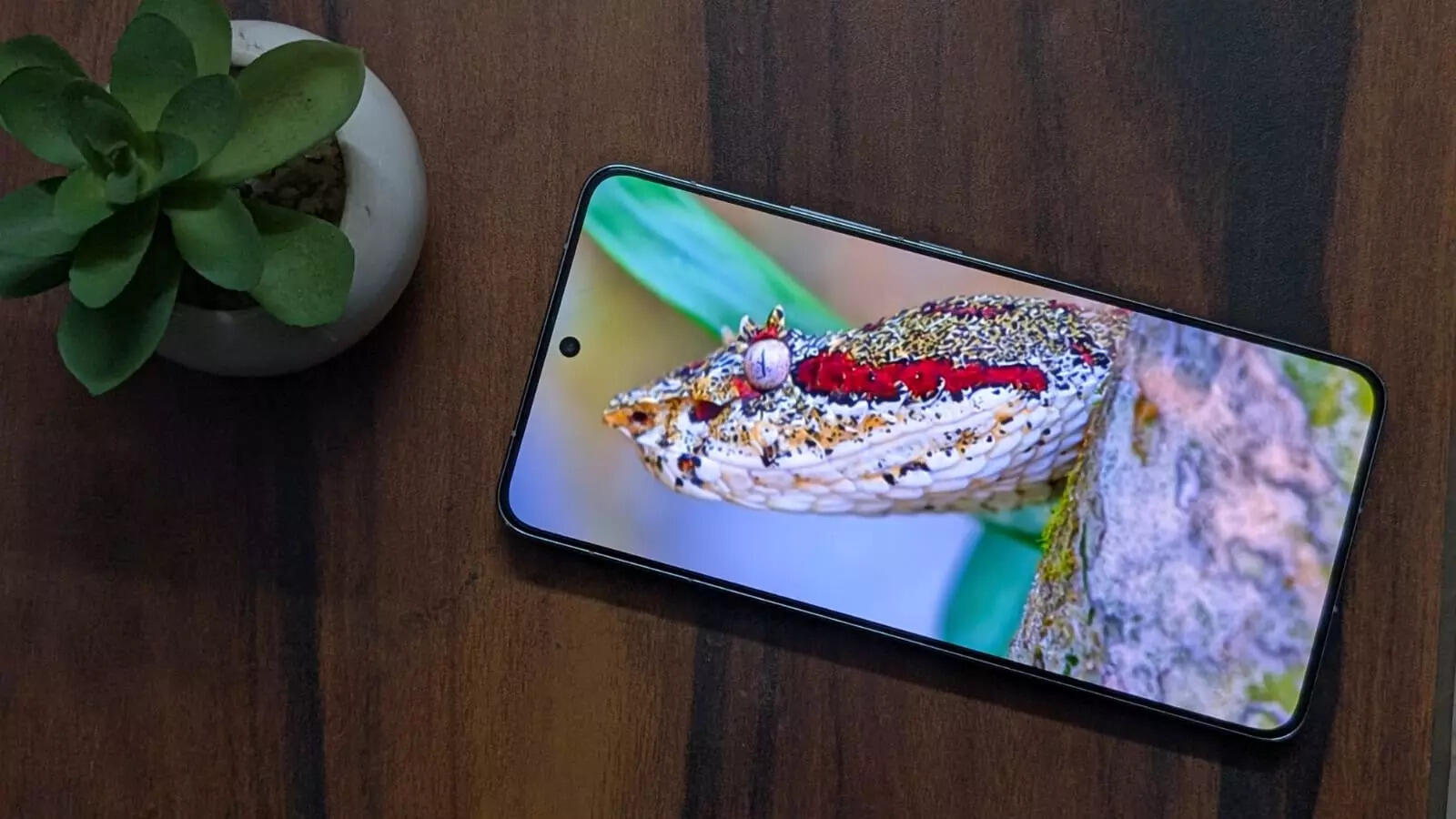 Visuals look brilliant on this screen