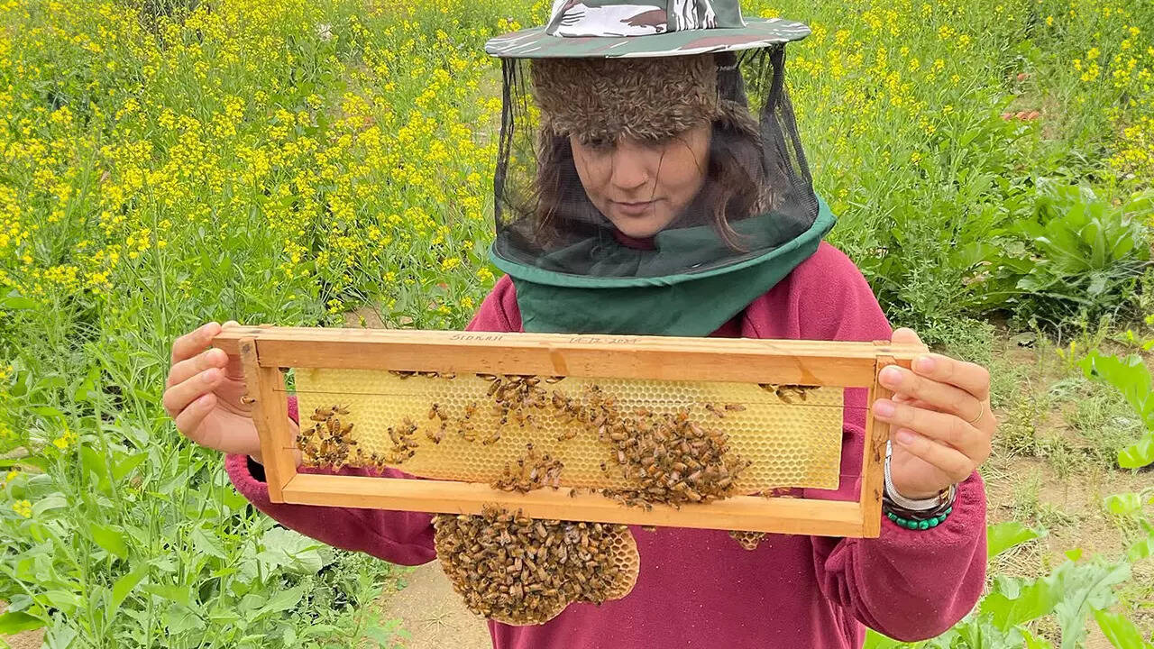 Beejom in Bulandshahr hosts regular workshops like bee-keeping workshop, pottery sessions at the farm
