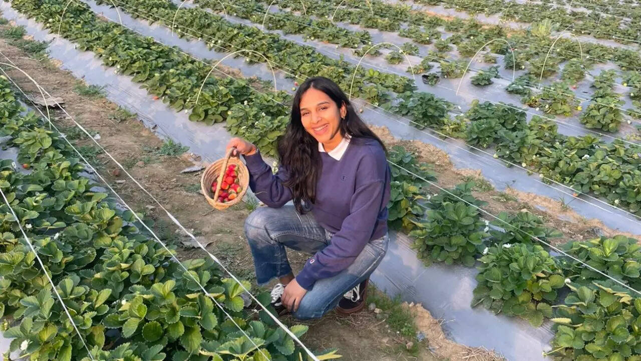 'Picking strawberries and veggies at the farm is a chance to connect with nature' (pic: @saraffarms)