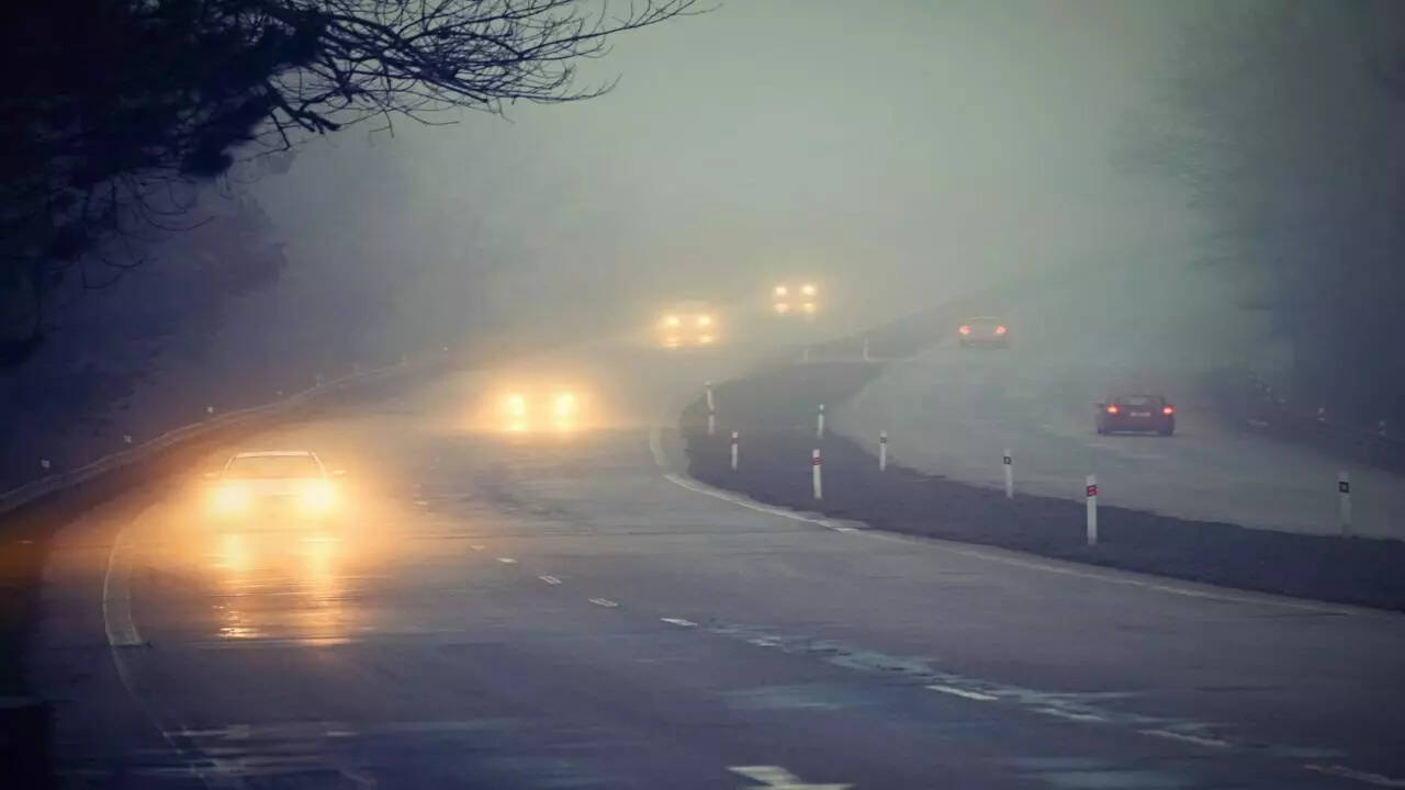 fog ls