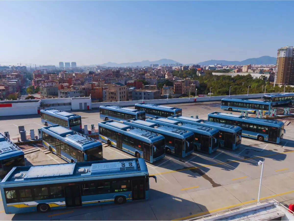 bus