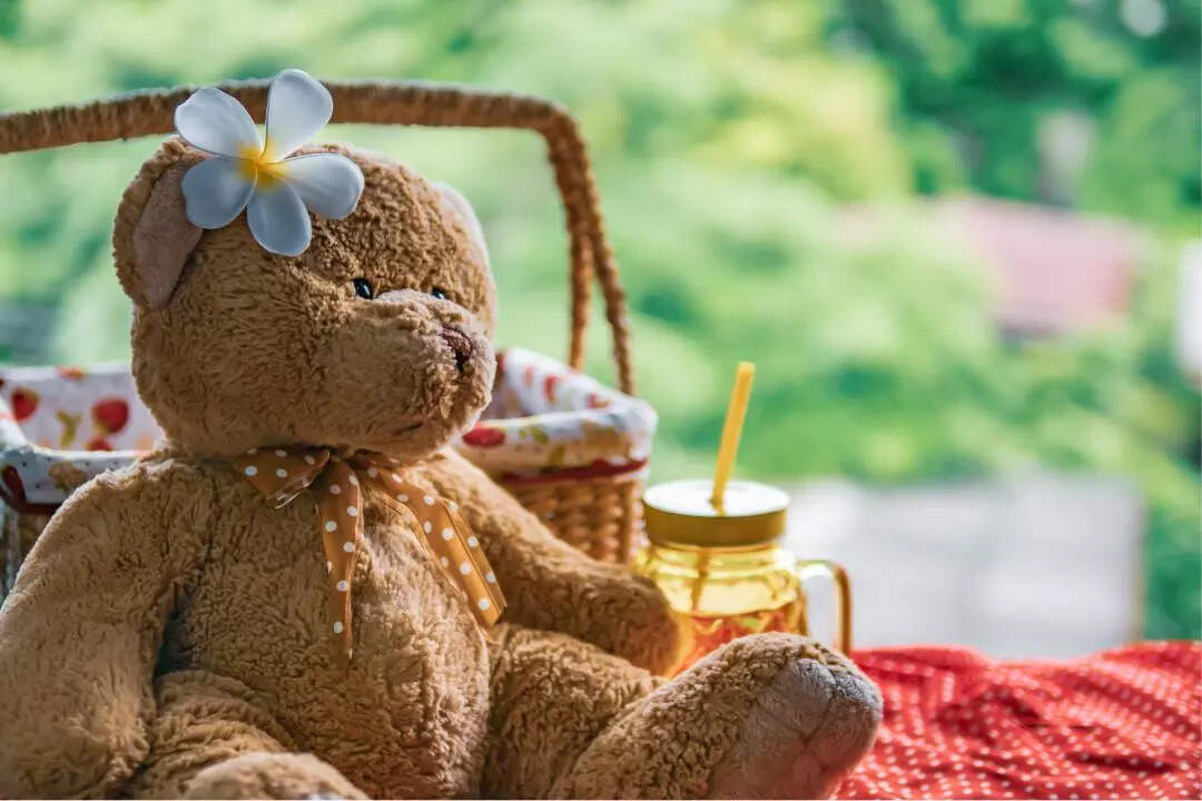 Happy Teddy Day